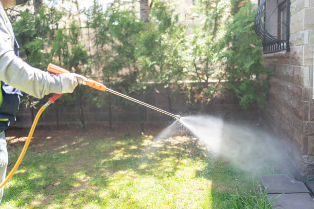 Lawn Pest Control in Costa Mesa, CA